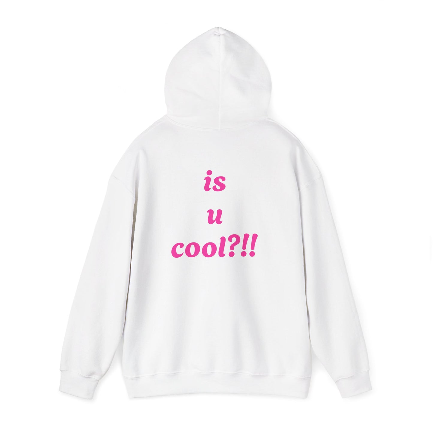 Cute Bear 'MZ Iconic' Hoodie — Back 'Is U Cool?!!' Graphic Pullover