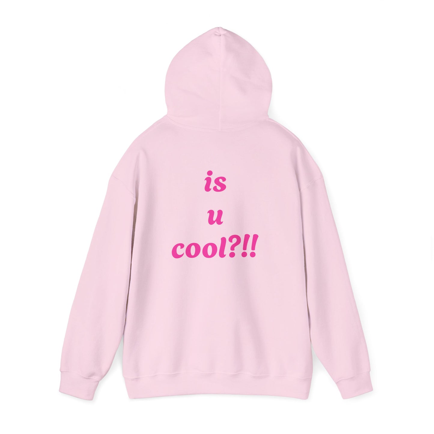 Cute Bear 'MZ Iconic' Hoodie — Back 'Is U Cool?!!' Graphic Pullover