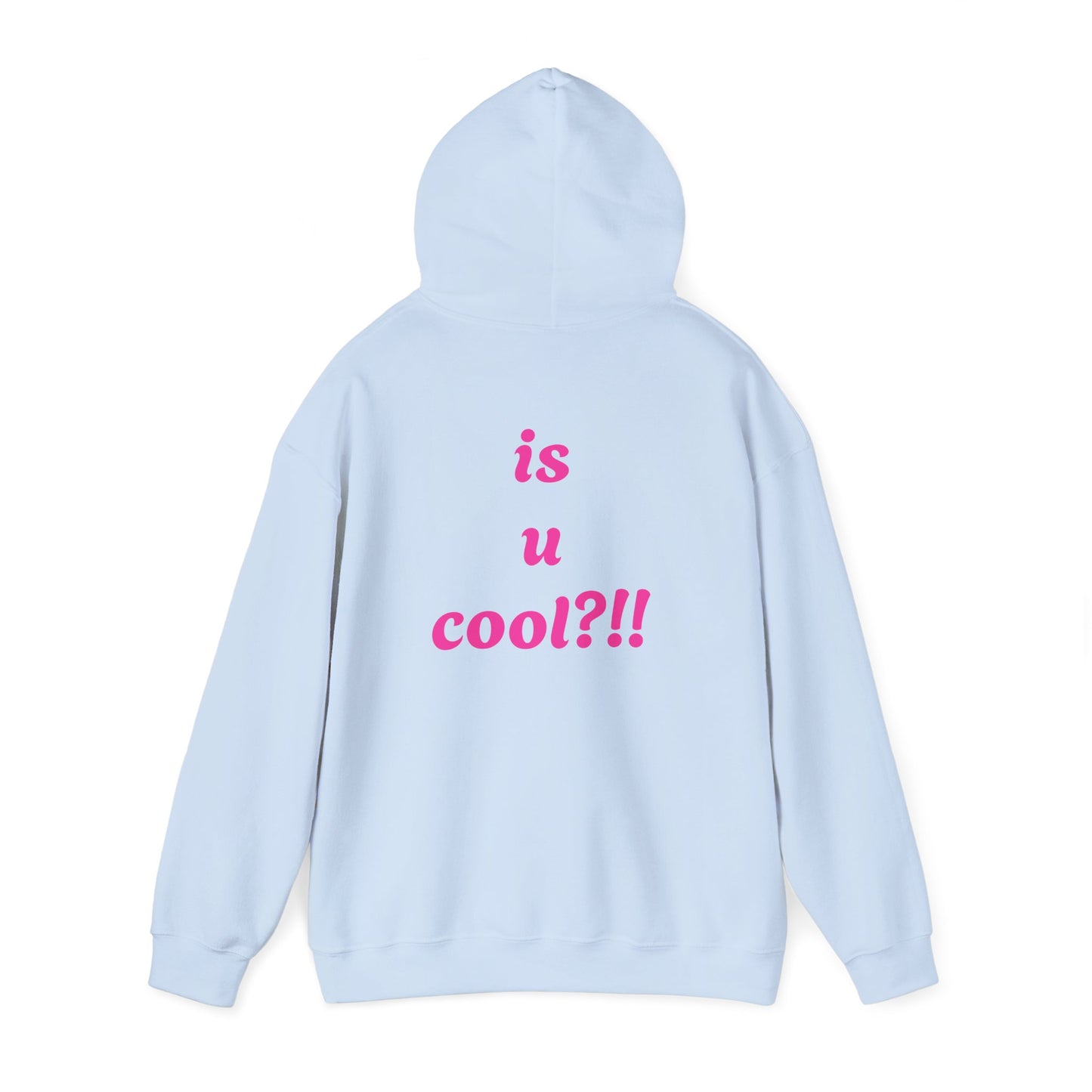 Cute Bear 'MZ Iconic' Hoodie — Back 'Is U Cool?!!' Graphic Pullover