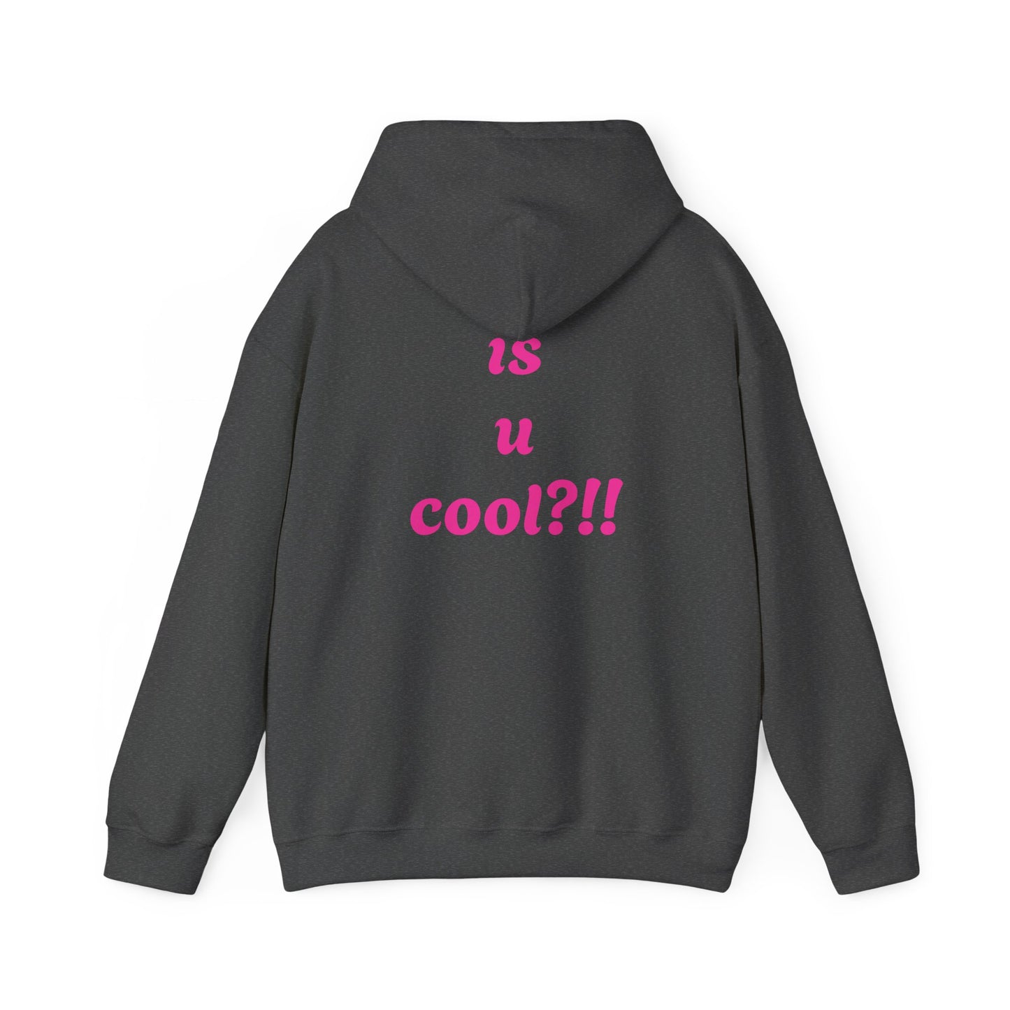 Cute Bear 'MZ Iconic' Hoodie — Back 'Is U Cool?!!' Graphic Pullover