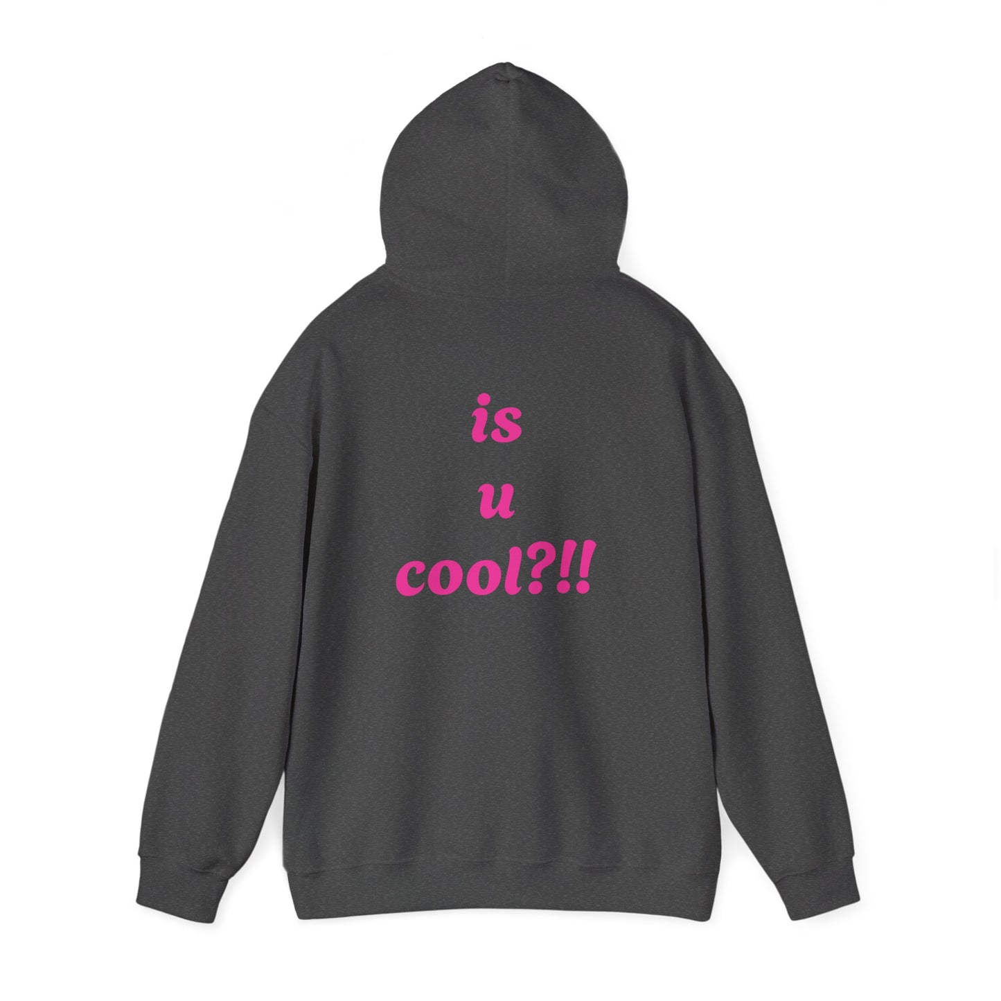Cute Bear 'MZ Iconic' Hoodie — Back 'Is U Cool?!!' Graphic Pullover