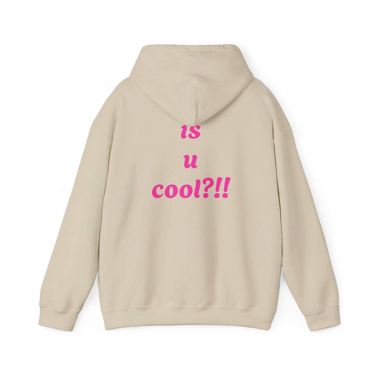 Cute Bear 'MZ Iconic' Hoodie — Back 'Is U Cool?!!' Graphic Pullover