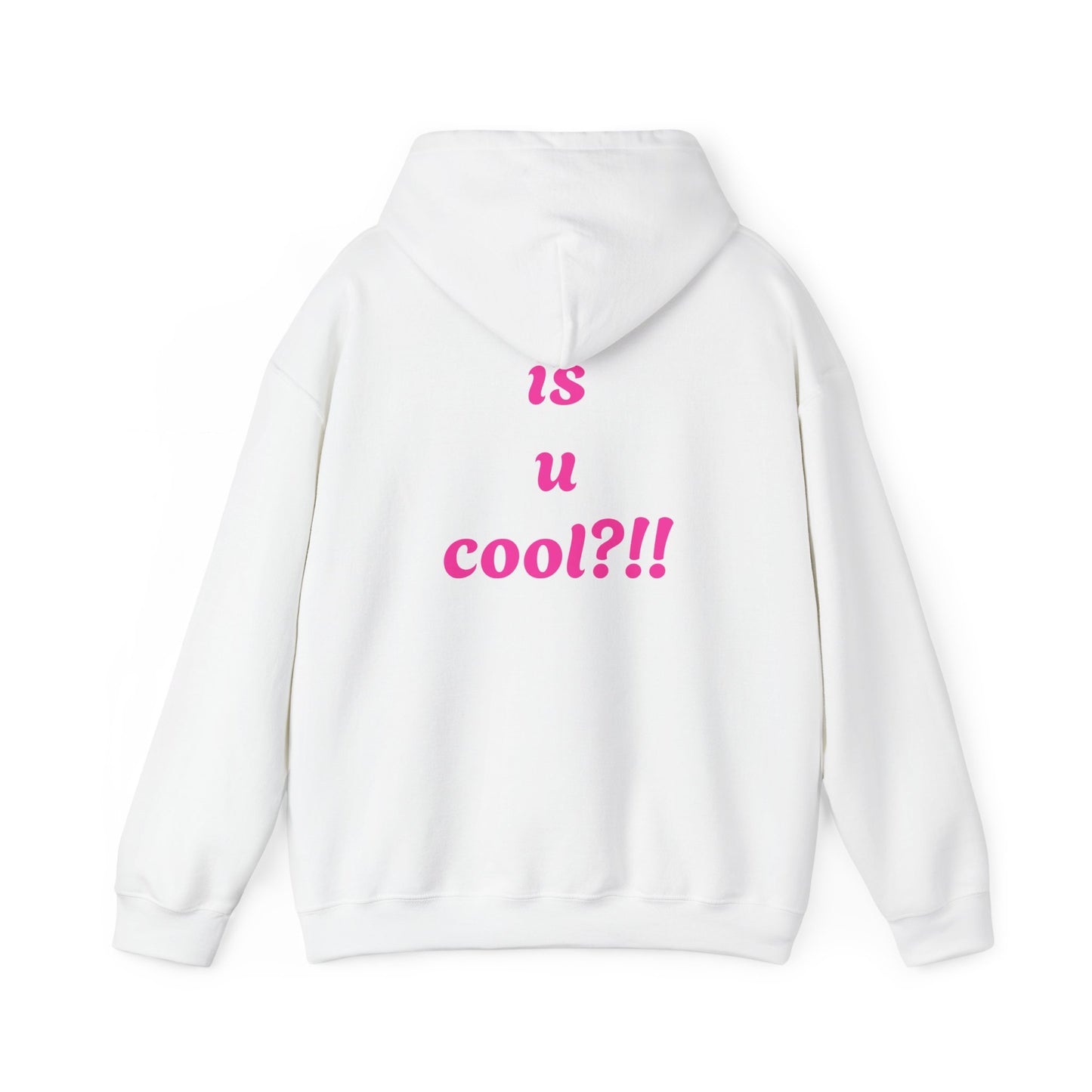 Cute Bear 'MZ Iconic' Hoodie — Back 'Is U Cool?!!' Graphic Pullover