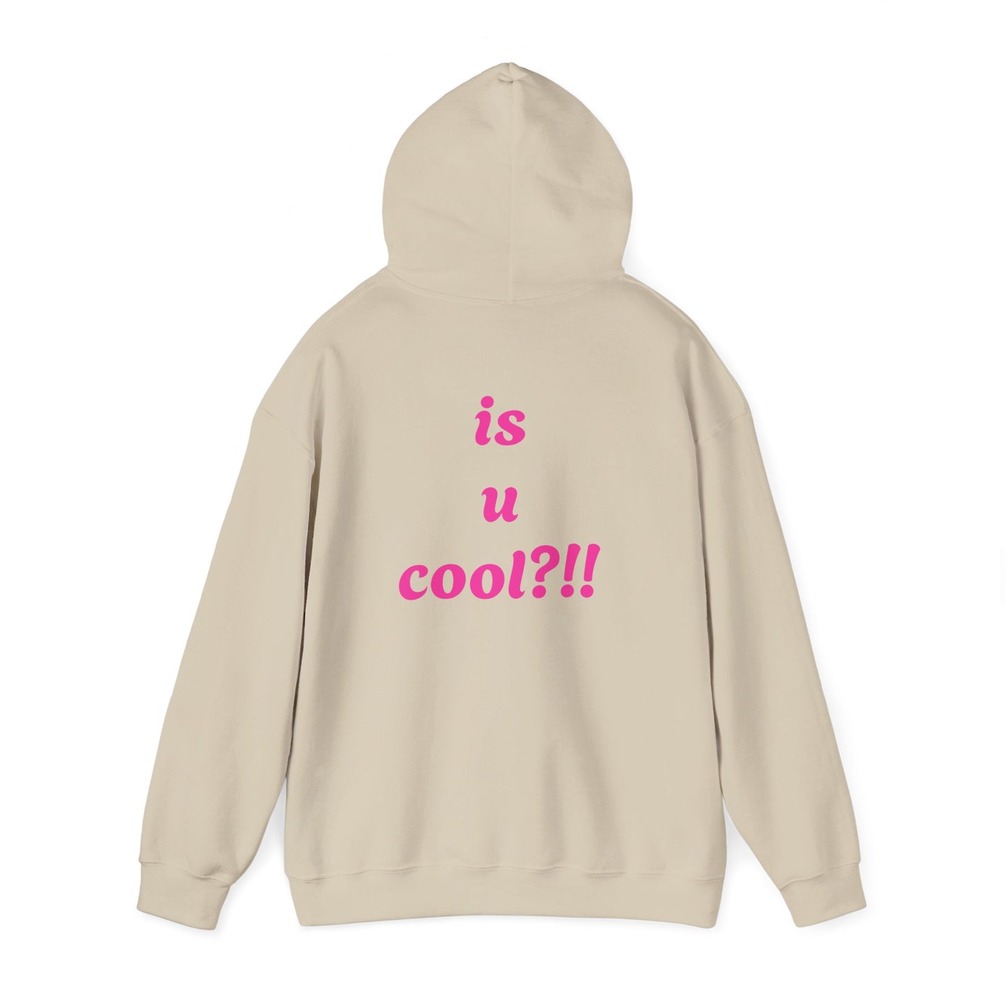 Cute Bear 'MZ Iconic' Hoodie — Back 'Is U Cool?!!' Graphic Pullover