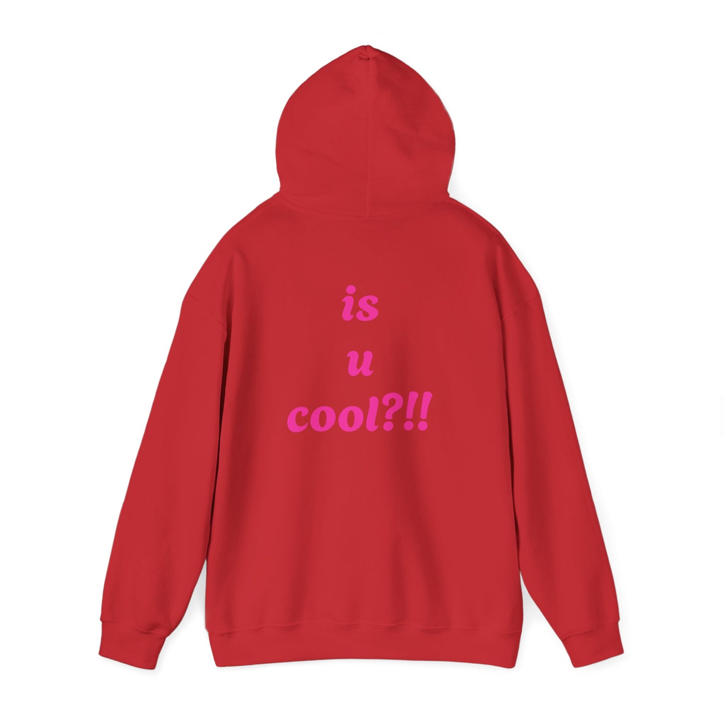 Cute Bear 'MZ Iconic' Hoodie — Back 'Is U Cool?!!' Graphic Pullover