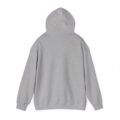 Iconic Bear Hoodie – "MZ_ICONIC" Cute Pink Helmet Graphic