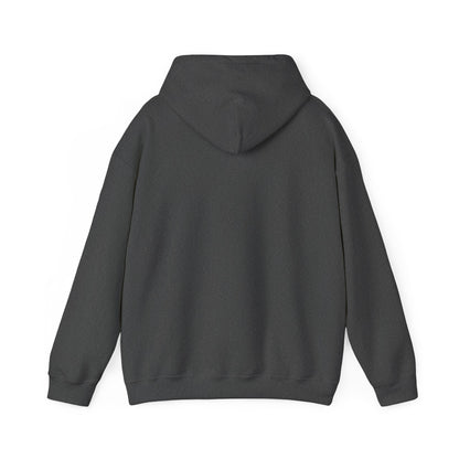 Iconic Bear Hoodie — Cute Kawaii Pilot Helmet Graphic Sweatshirt