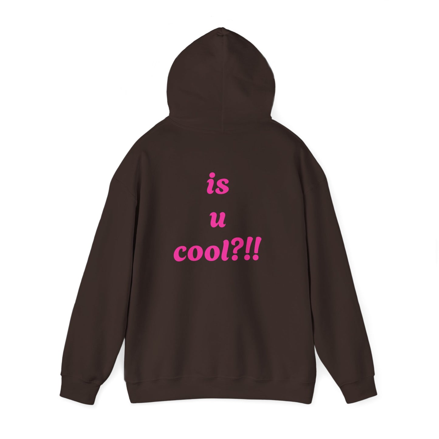 Cute Bear 'MZ Iconic' Hoodie — Back 'Is U Cool?!!' Graphic Pullover